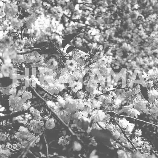 Hirayama (Digital Download)